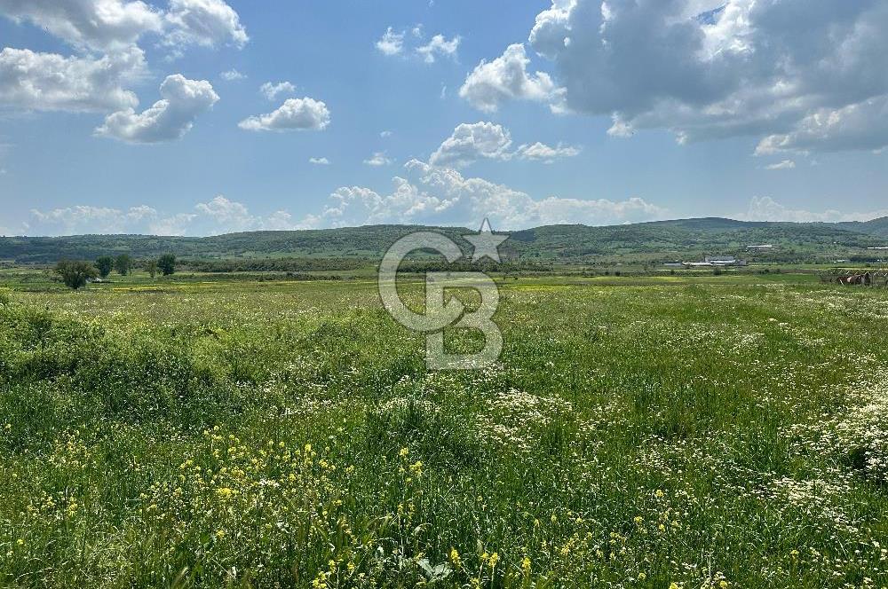 BALIKESİR KARESİ IŞIKLAR'DA SATILIK TARLA