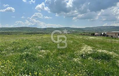BALIKESİR KARESİ IŞIKLAR'DA SATILIK TARLA