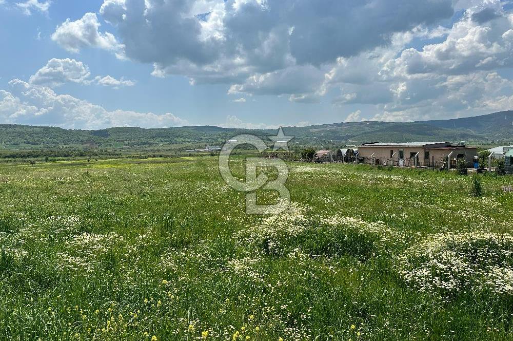 BALIKESİR KARESİ IŞIKLAR'DA SATILIK TARLA