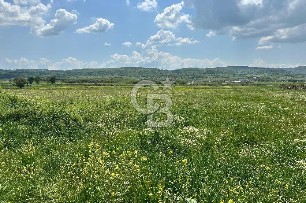BALIKESİR KARESİ IŞIKLAR'DA SATILIK TARLA