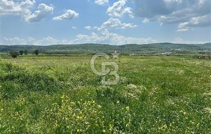 BALIKESİR KARESİ IŞIKLAR'DA SATILIK TARLA
