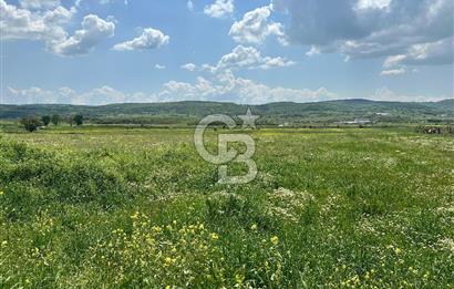 BALIKESİR KARESİ IŞIKLAR'DA SATILIK TARLA