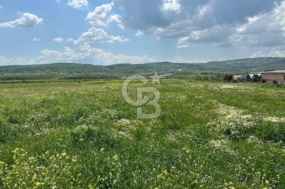 BALIKESİR KARESİ IŞIKLAR'DA SATILIK TARLA