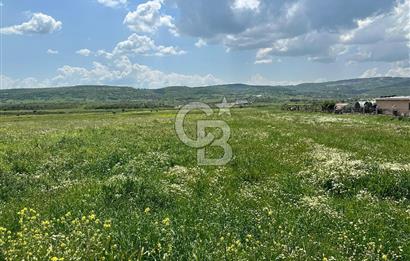 BALIKESİR KARESİ IŞIKLAR'DA SATILIK TARLA