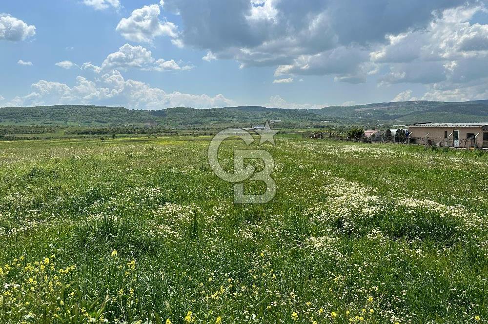 BALIKESİR KARESİ IŞIKLAR'DA SATILIK TARLA