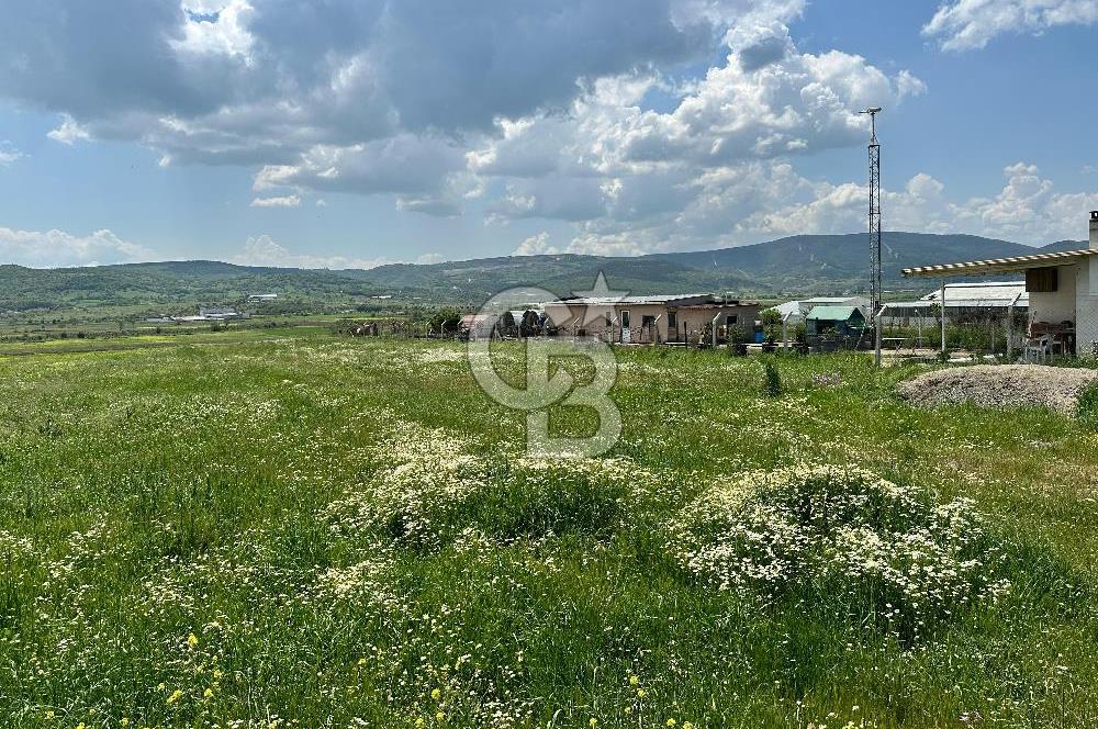 BALIKESİR KARESİ IŞIKLAR'DA SATILIK TARLA