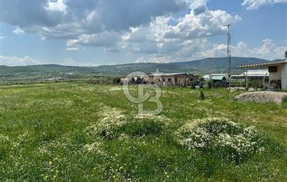 BALIKESİR KARESİ IŞIKLAR'DA SATILIK TARLA