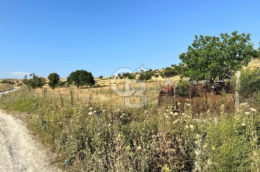 BALIKESİR KARESİ KUVA-İ MİLLİYE'DE SATILIK ARSA