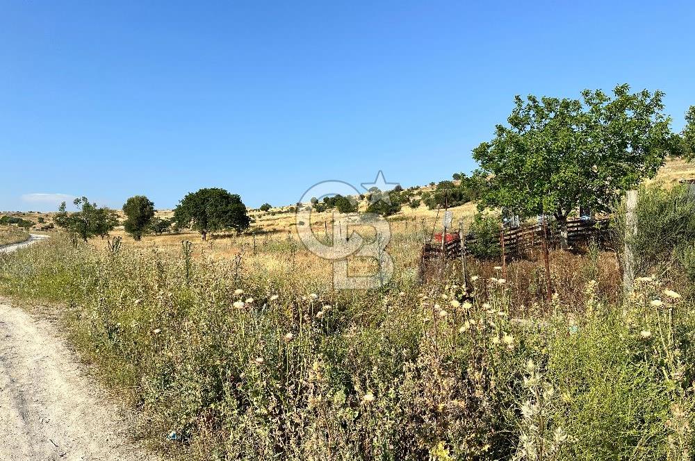 BALIKESİR KARESİ KUVA-İ MİLLİYE'DE SATILIK ARSA