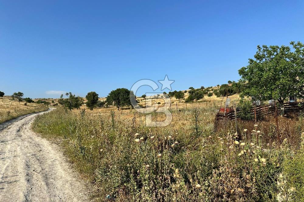 BALIKESİR KARESİ KUVA-İ MİLLİYE'DE SATILIK ARSA