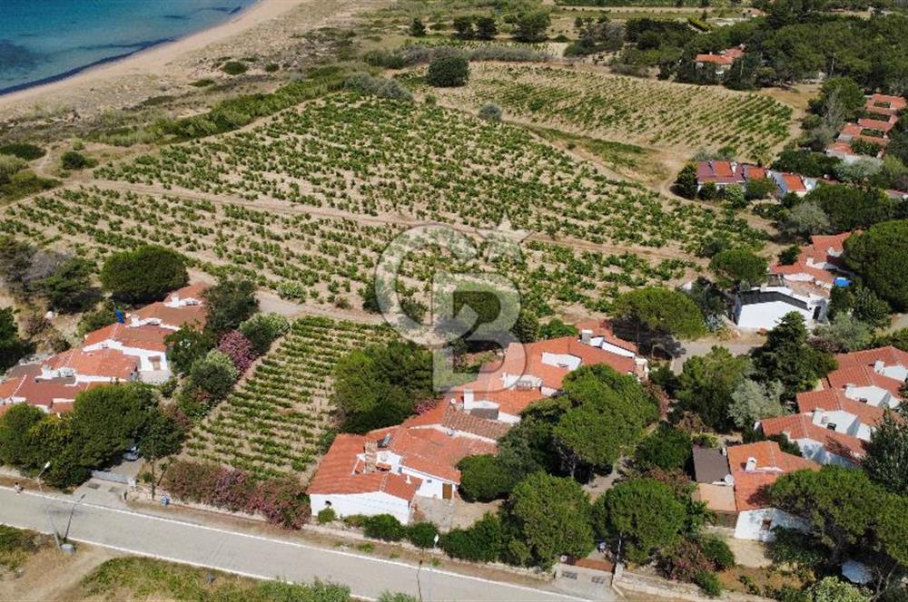 BOZCAADA SULUBAHÇE'DE DENİZE SIFIR YAZLIK EV VE BAĞ ARAZİSİ