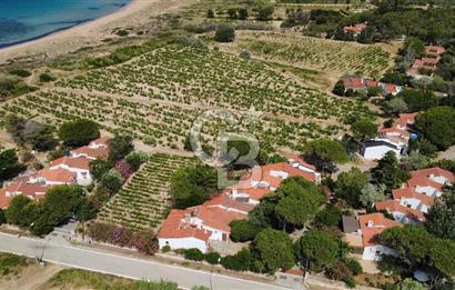 BOZCAADA SULUBAHÇE'DE DENİZE SIFIR YAZLIK EV VE BAĞ ARAZİSİ