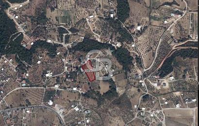 İZMİR BUCA BELENBAŞI'NDA YATIRIMA UYGUN 2900 M2 SATILIK ARSA