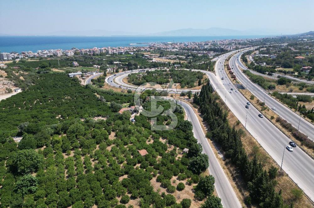 GÜZELBAHÇE’DE İMARA VE OTOBANA KOMŞU SATILIK DEĞERLİ ARAZİ