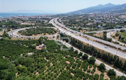 GÜZELBAHÇE’DE İMARA VE OTOBANA KOMŞU SATILIK DEĞERLİ ARAZİ