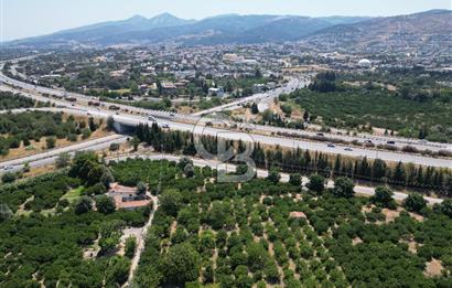 GÜZELBAHÇE’DE İMARA VE OTOBANA KOMŞU SATILIK DEĞERLİ ARAZİ