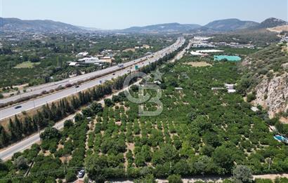 GÜZELBAHÇE’DE İMARA VE OTOBANA KOMŞU SATILIK DEĞERLİ ARAZİ