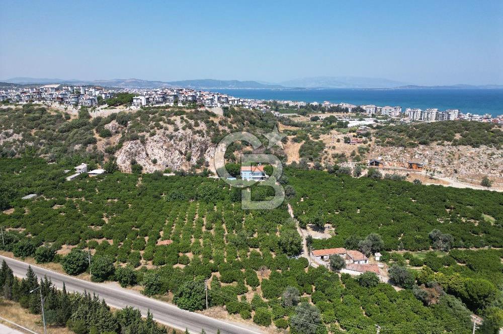 GÜZELBAHÇE’DE İMARA VE OTOBANA KOMŞU SATILIK DEĞERLİ ARAZİ