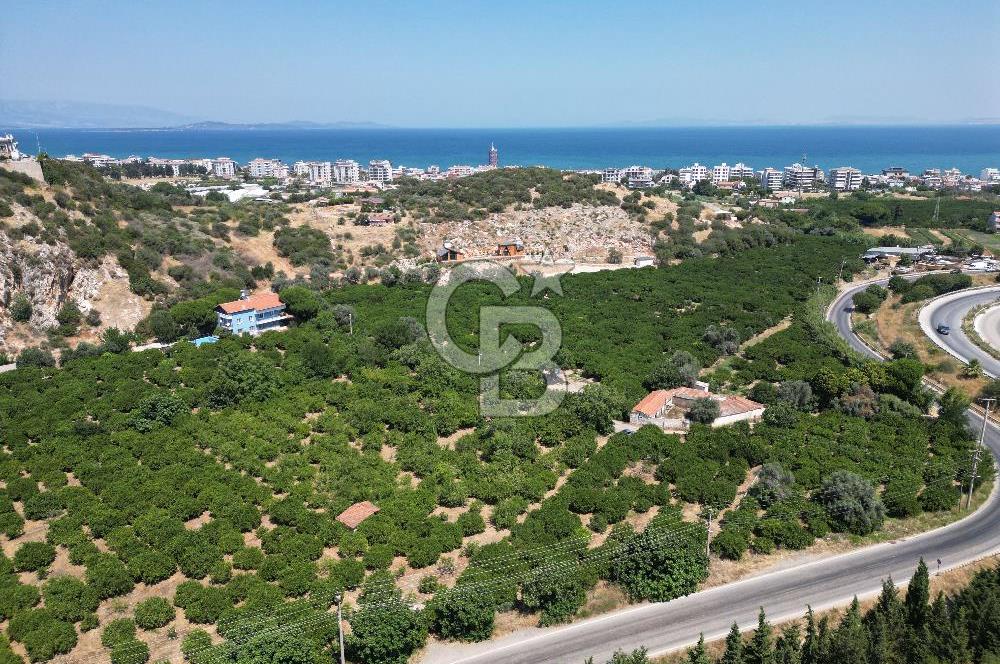 GÜZELBAHÇE’DE İMARA VE OTOBANA KOMŞU SATILIK DEĞERLİ ARAZİ