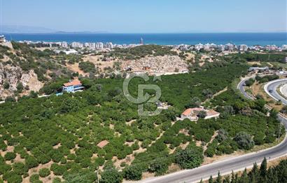 GÜZELBAHÇE’DE İMARA VE OTOBANA KOMŞU SATILIK DEĞERLİ ARAZİ