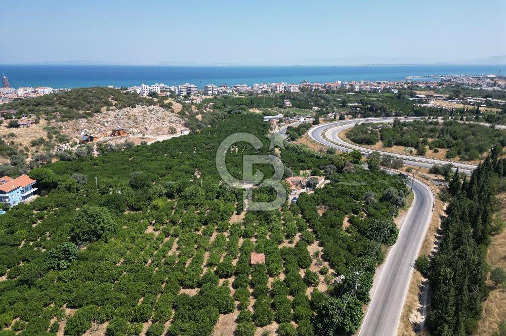 GÜZELBAHÇE’DE İMARA VE OTOBANA KOMŞU SATILIK DEĞERLİ ARAZİ