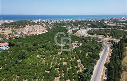 GÜZELBAHÇE’DE İMARA VE OTOBANA KOMŞU SATILIK DEĞERLİ ARAZİ