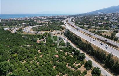 GÜZELBAHÇE’DE İMARA VE OTOBANA KOMŞU SATILIK DEĞERLİ ARAZİ