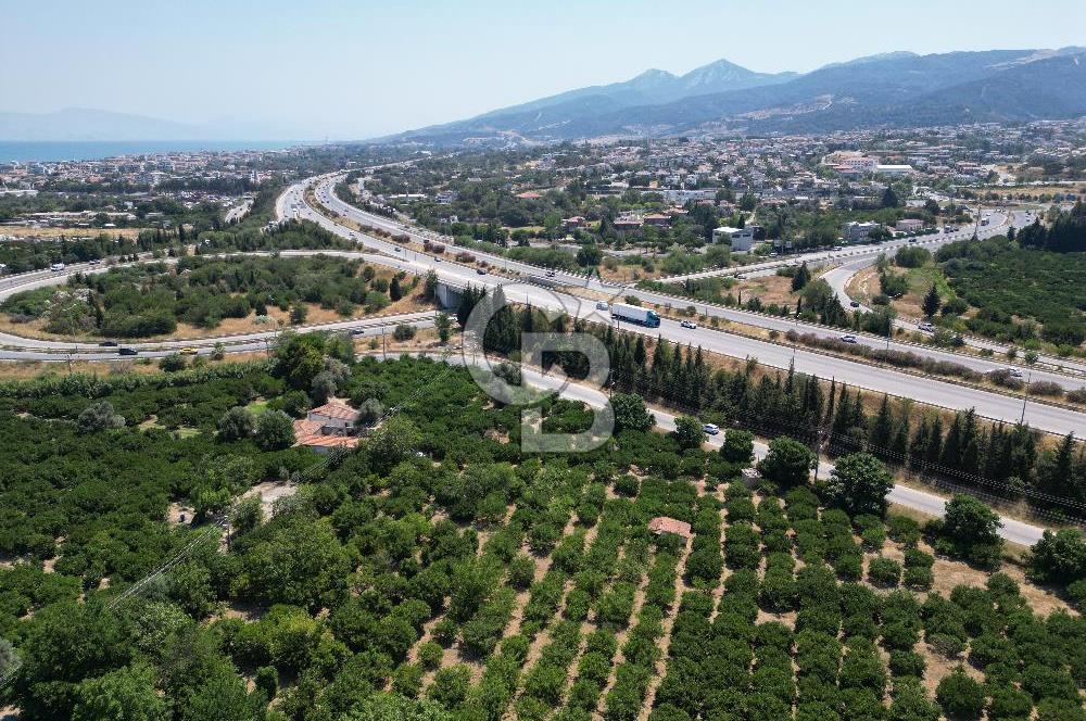 GÜZELBAHÇE’DE İMARA VE OTOBANA KOMŞU SATILIK DEĞERLİ ARAZİ