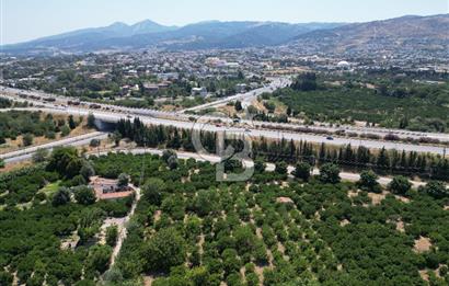 GÜZELBAHÇE’DE İMARA VE OTOBANA KOMŞU SATILIK DEĞERLİ ARAZİ