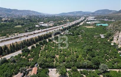 GÜZELBAHÇE’DE İMARA VE OTOBANA KOMŞU SATILIK DEĞERLİ ARAZİ