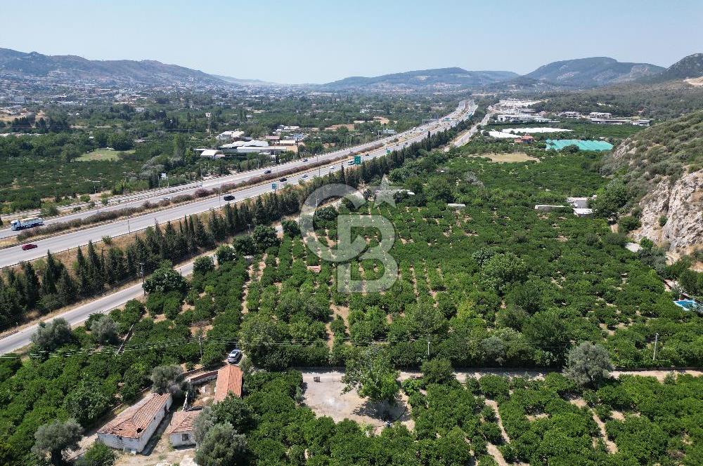 GÜZELBAHÇE’DE İMARA VE OTOBANA KOMŞU SATILIK DEĞERLİ ARAZİ