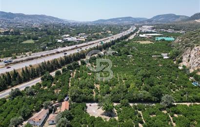 GÜZELBAHÇE’DE İMARA VE OTOBANA KOMŞU SATILIK DEĞERLİ ARAZİ