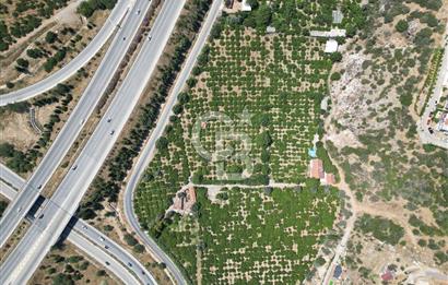 GÜZELBAHÇE’DE İMARA VE OTOBANA KOMŞU SATILIK DEĞERLİ ARAZİ