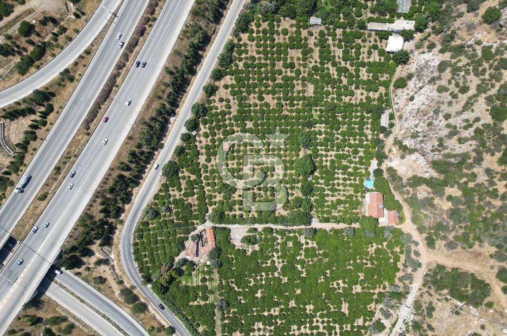 GÜZELBAHÇE’DE İMARA VE OTOBANA KOMŞU SATILIK DEĞERLİ ARAZİ