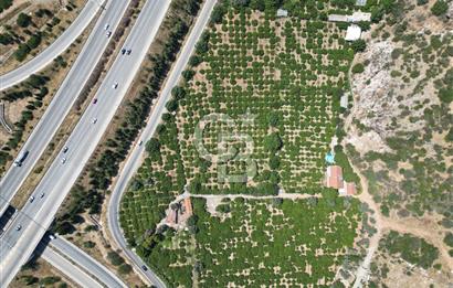 GÜZELBAHÇE’DE İMARA VE OTOBANA KOMŞU SATILIK DEĞERLİ ARAZİ