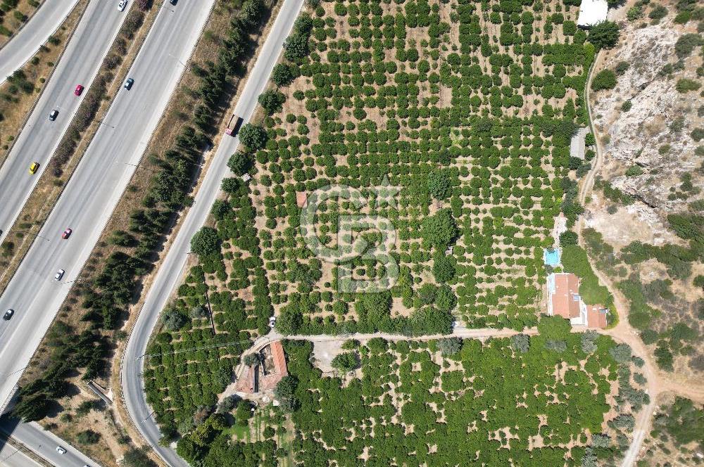 GÜZELBAHÇE’DE İMARA VE OTOBANA KOMŞU SATILIK DEĞERLİ ARAZİ