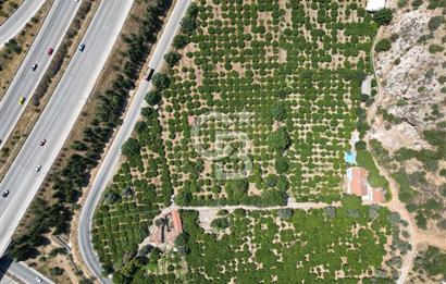 GÜZELBAHÇE’DE İMARA VE OTOBANA KOMŞU SATILIK DEĞERLİ ARAZİ