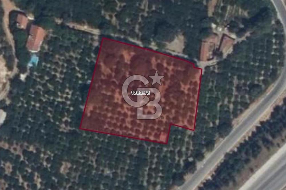 GÜZELBAHÇE’DE İMARA VE OTOBANA KOMŞU SATILIK DEĞERLİ ARAZİ