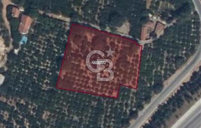 GÜZELBAHÇE’DE İMARA VE OTOBANA KOMŞU SATILIK DEĞERLİ ARAZİ