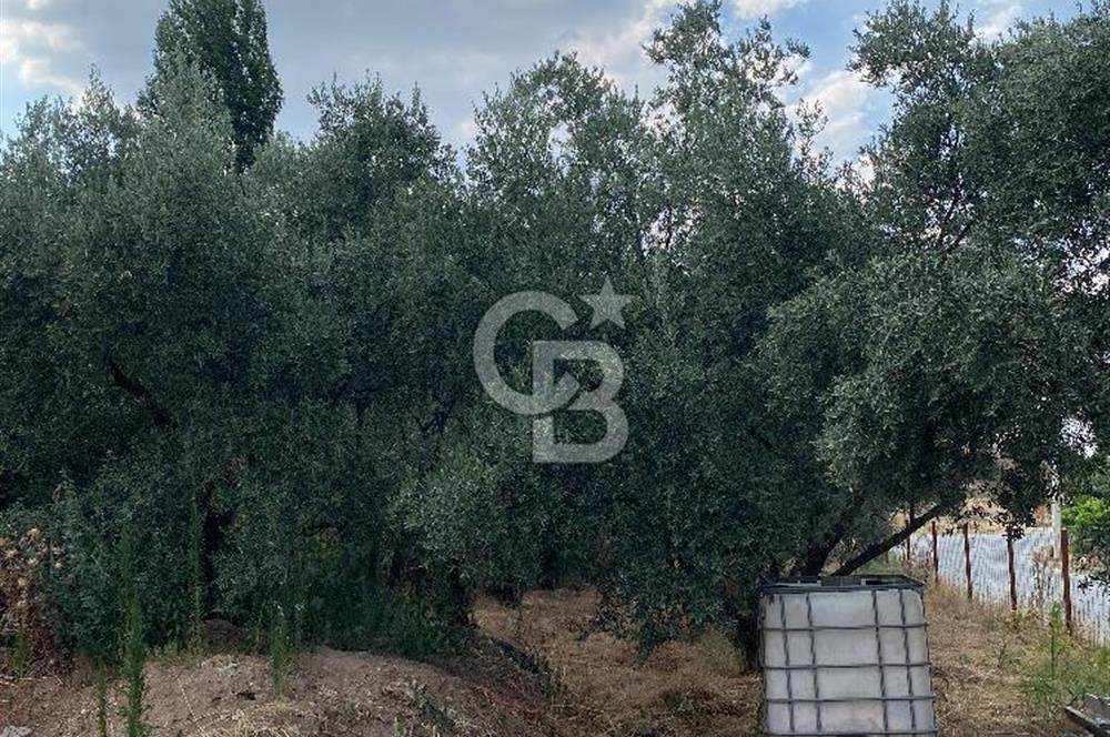 Manisa Ahmetli’de Satılık 388 m2 Bahçe 