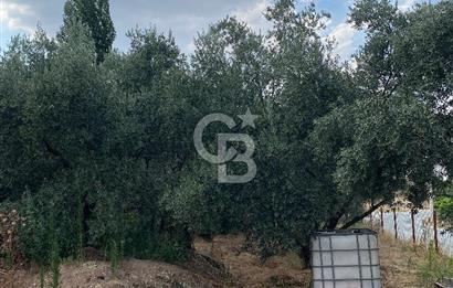 Manisa Ahmetli’de Satılık 388 m2 Bahçe 