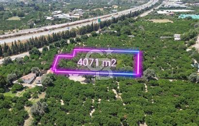 GÜZELBAHÇE’DE İMARA VE OTOBANA KOMŞU SATILIK DEĞERLİ ARAZİ