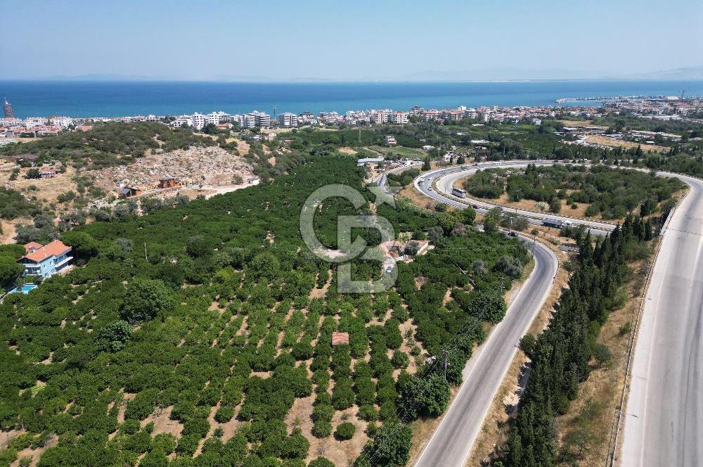 GÜZELBAHÇE’DE İMARA VE OTOBANA KOMŞU SATILIK DEĞERLİ ARAZİ