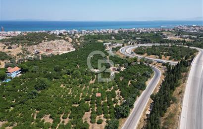 GÜZELBAHÇE’DE İMARA VE OTOBANA KOMŞU SATILIK DEĞERLİ ARAZİ