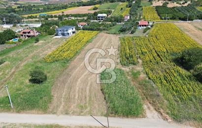 ÇANAKKALE LAPSEKİ SULUCADA BOĞAZA SIFIR İMARLI VİLLA ARAZİSİ