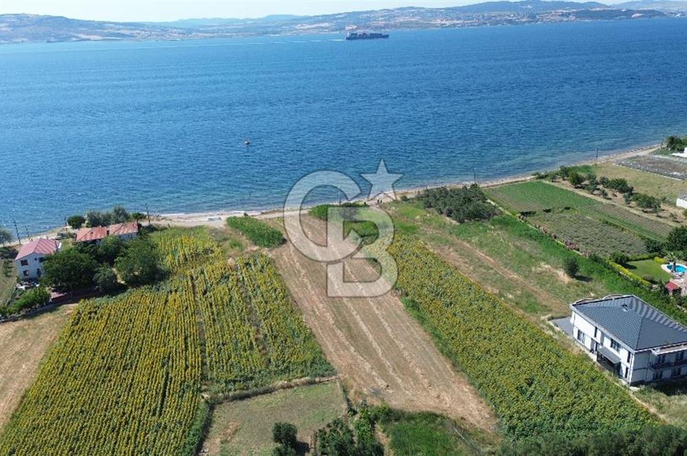 ÇANAKKALE LAPSEKİ SULUCADA BOĞAZA SIFIR İMARLI VİLLA ARAZİSİ