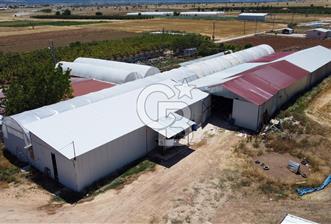 100 Büyükbaş 4.468 m² Genişletmeye Uygun Çiftlik ve 2 Katlı Ev