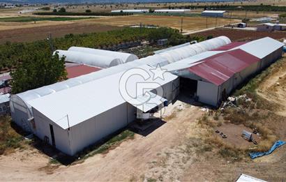 100 Büyükbaş 4.468 m² Genişletmeye Uygun Çiftlik ve 2 Katlı Ev