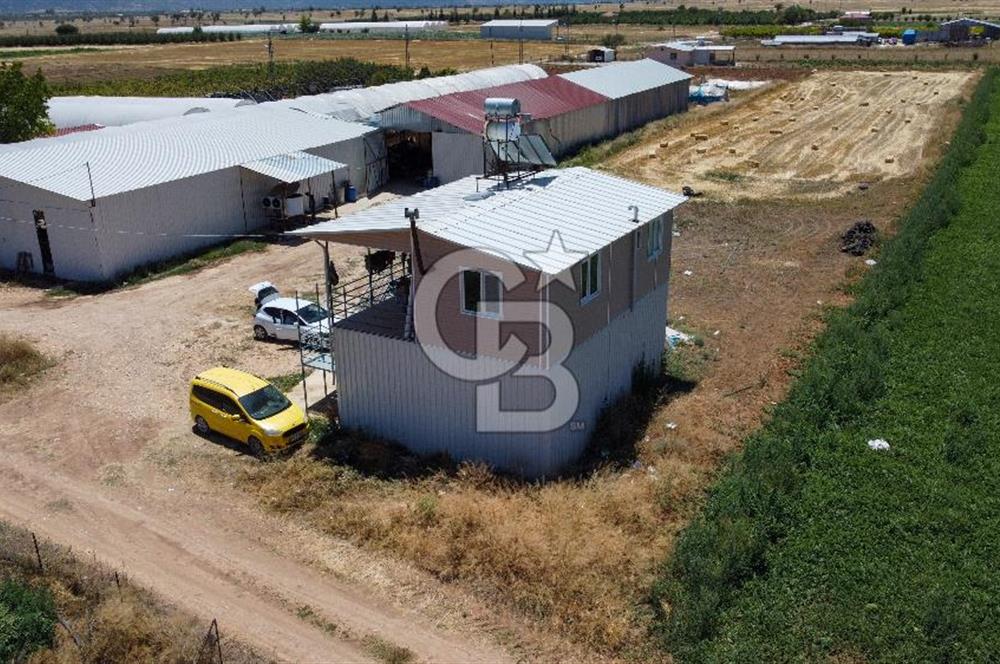 100 Büyükbaş 4.468 m² Genişletmeye Uygun Çiftlik ve 2 Katlı Ev