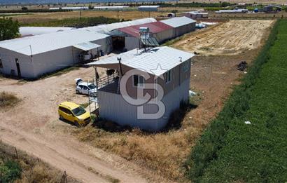 100 Büyükbaş 4.468 m² Genişletmeye Uygun Çiftlik ve 2 Katlı Ev